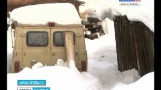 В Исакогорском округе волки загрызли домашнюю собаку