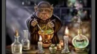 Я УНИКАЛЬНЫЙ МОРЖ-Владимир Герасименко-песня