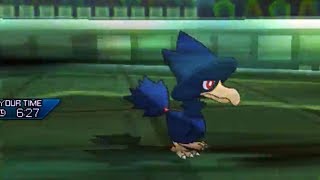 Murkrow Magic - Road to Ranked VGC 2019 #40