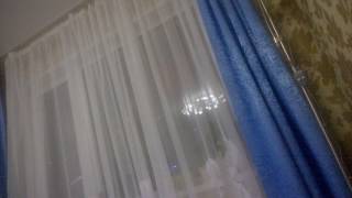 Волнистый попугай Рома и Антошка
