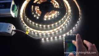 LEDLightingHut 4 In 1 RGBW SMD 5050 Flex LED Strip