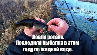 Ловля ротана перед зимой