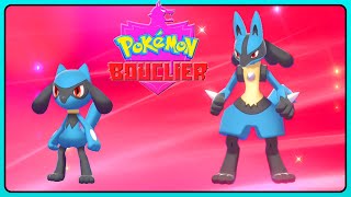 POKÉMON ÉPÉE BOUCLIER COMMENT AVOIR RIOLU ET LUCARIO