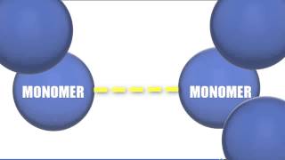 Monomers vs Polymers - Biology Tutorial