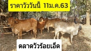 Ep389:ราคาวัววันนี้11ม.ค.63: #ตลาดวัวร้อยเอ็ด