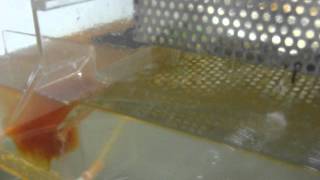 Automatic oil/grease collector (grease trap/interceptor)