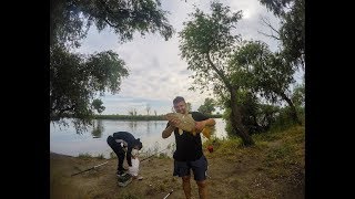 Рыбалка с ночёвкой турунчук. Трофейный карп.