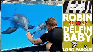 Loro Parque: Training mit DELFINbaby ROBIN ? & seiner Familie ? | zoos.media