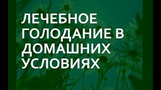 Лечебное голодание в домашних условиях