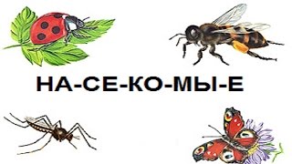 Развивающий мультфильм: насекомые. Учимся читать по слогам