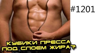 Как узнать, если ли у тебя кубики пресса под слоем жира