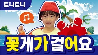 [트니트니] 꽃게가 걸어요 I 자연친구들 율동 체조 I 율동동요 I 인기동요