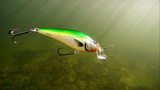 How to use & film underwater Salmo fishing lures for pike, muskie, bass. Воблеры для щуки и окуня