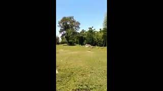 03 07 2020 где была Турбаза ЦИХИСДЗИРИ Аджария Грузия Видео Sulxan Nizharadze