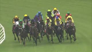 Hostile Star runs 7th in 1600m Maiden Handicap at the Sunshine Coast   December 8 2019