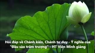 Hỏi đáp về Chánh kiến, Chánh tư duy - Ý nghĩa của "Đầu sào trăm trượng" - HT Viên Minh giảng