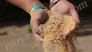 Измельчение зерна и початков кукурузы. Измельчитель с двигателем 2,5 кВт.