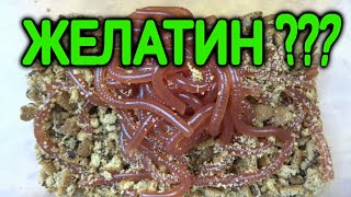 Червяки из желатина