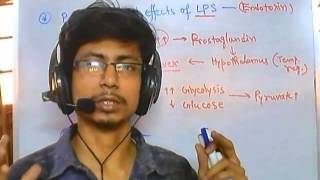 Effects of endotoxin in human body