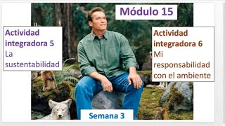MÓDULO 15 Semana 3 ?‍? Actividades integradoras 5 y 6 ?‍? Prepa-SEP