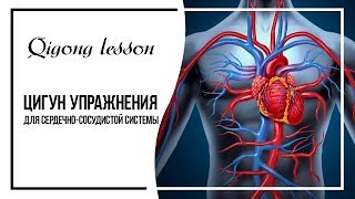 Цигун упражнения для сердечно-сосудистой системы