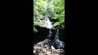Boardtree Falls