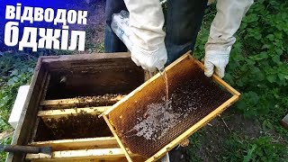 КАК УВЕЛИЧИТЬ ПАСЕКУ??Как сделать отводок пчел? Як зробити відводок бджіл?