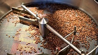 10 อันดับ กาแฟสุดแพงที่สุดในโลก