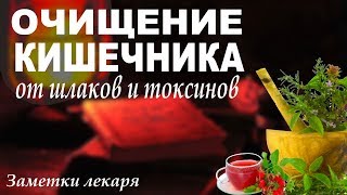 Мягкое очищение кишечника от шлаков и токсинов