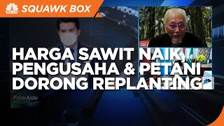 Harga Sawit Melonjak, Pengusaha & Petani Dorong Replanting