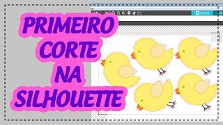 Silhouette Iniciantes - Primeiro Corte