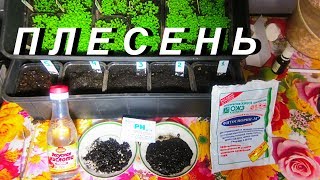 ДНЕВНИК ТАБАКОВОДА - № 72 ПЛЕСЕНЬ ТАБАК