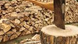 Дубовые дрова  Бровары доставка дубовых колотых дров в с.Гоголев Броварского району