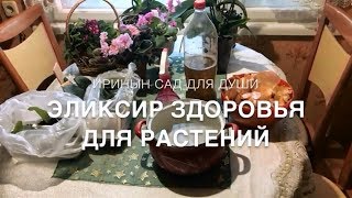 Эликсир здоровья для растений?