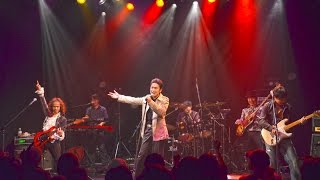 MAILING DOG 2014 - LAST HERO (ハウンドドッグ コピー）