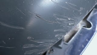 НЕПРИЯТНЫЕ сюрпризы