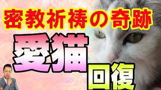 ATLASラジオ3rd 019 密教祈祷の奇跡　愛猫ぷりんちゃんが瀕死の状態から奇跡の回復へ
