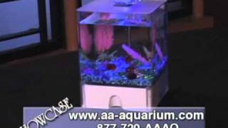 Aqua Box Betta 2