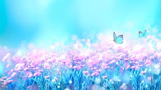 밝은 아침을 위한 힐링음악 3시간 ? 아침명상음악, 요가음악, 명상음악, 스트레스해소음악 (Lyla)