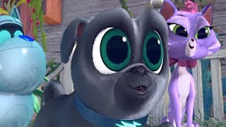 Играем вместе с дружными мопсами 08 - Повторяй за королём | мультик Disney про щенков