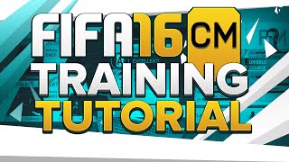 FIFA 16 CAREER MODE TRAINING TUTORIAL FOR CENTRE MIDFIELDERS!
