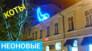 Неоновые котики ? LED Арт объект в Одессе на Дерибасовской. Art Odessa, graffiti cats love