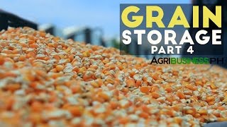 Grain Safe 3 : Grain storage solution Part 4 #Agribusiness
