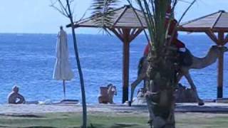 Taba Santa @ Movenpick Hotel ,Taba 2009