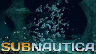 『Subnautica 深海迷航』圈圈魚