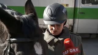 Berittene Polizei: Vorbild München? ORF Wien heute