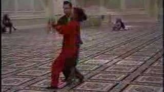 Brendan Lai (黎達沖) (1942-2002) - Mantis (七星螳螂拳) applications