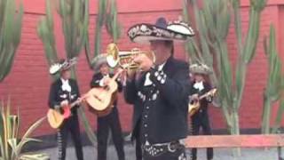 LA PALOMA - MARIACHI NUEVO JALISCO -  SOLO DE TROMPETA DE CESAR RIVERA -TELF. 5681512 - 989993475