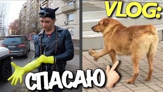 VLOG: "СПАСАЮ" Е БАНУЮ СОБАКУ/ Андрей Мартыненко