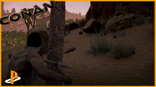 Conan Exiles How to get BARK